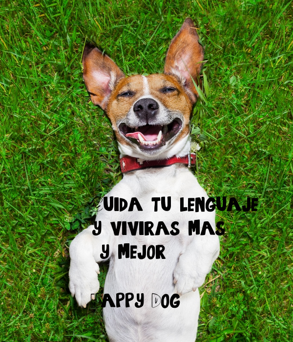cuida-tu-lenguaje-y-viviras-mas-y-mejor-happy-dog